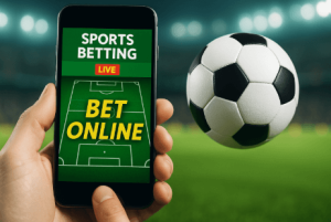 风险意识与理性参与