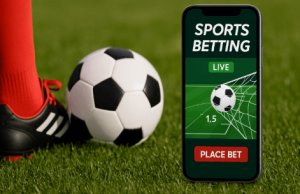 冰島 足球适合哪些投注者?